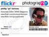 Badge-Image