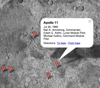 Googlemoon
