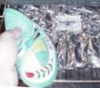Plastic
