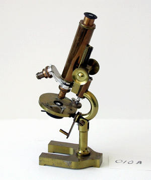 microScope.gif