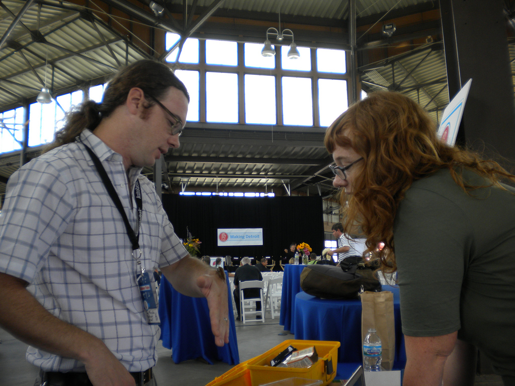 When Crafters Meet Bugs Make