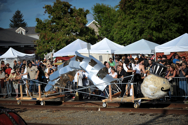 Handcar-Regatta-Geometer-Insecta