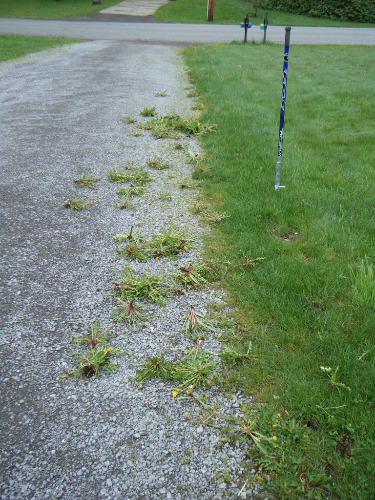 HowTo DIY Weed Removal Tool Make