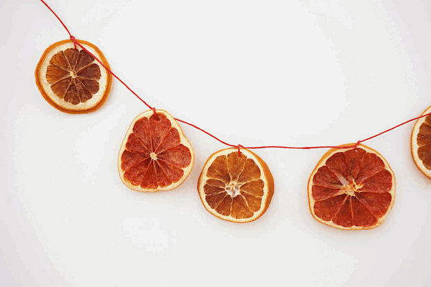 maker_mama_citrus_garland_01